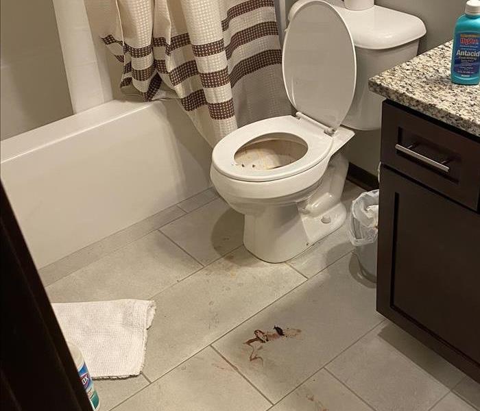 Floor with a pool of blood and some blood on toilet